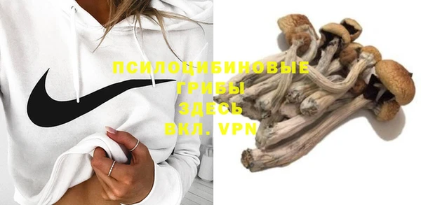 синтетический гашиш Козловка