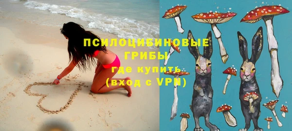 СК Коряжма