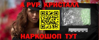 СК Кингисепп