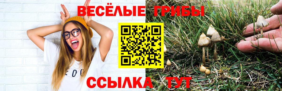 Кстово  купить наркоту  Вход с VPN  Галлюциногенные грибы Psilocybe  Галлюциногенные грибы GOLDEN TEACHER 